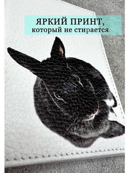 Обложка на паспорт