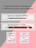Ручка именная Алиме в чехле
