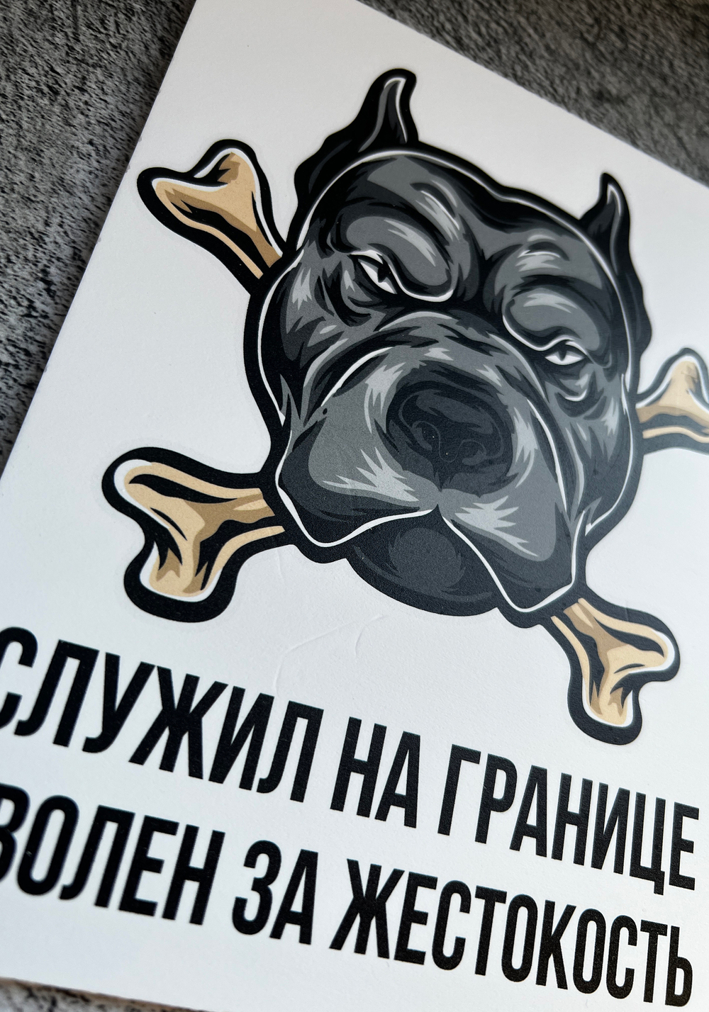 Табличка Злая собака