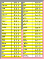 Ручка именная Ирина в чехле