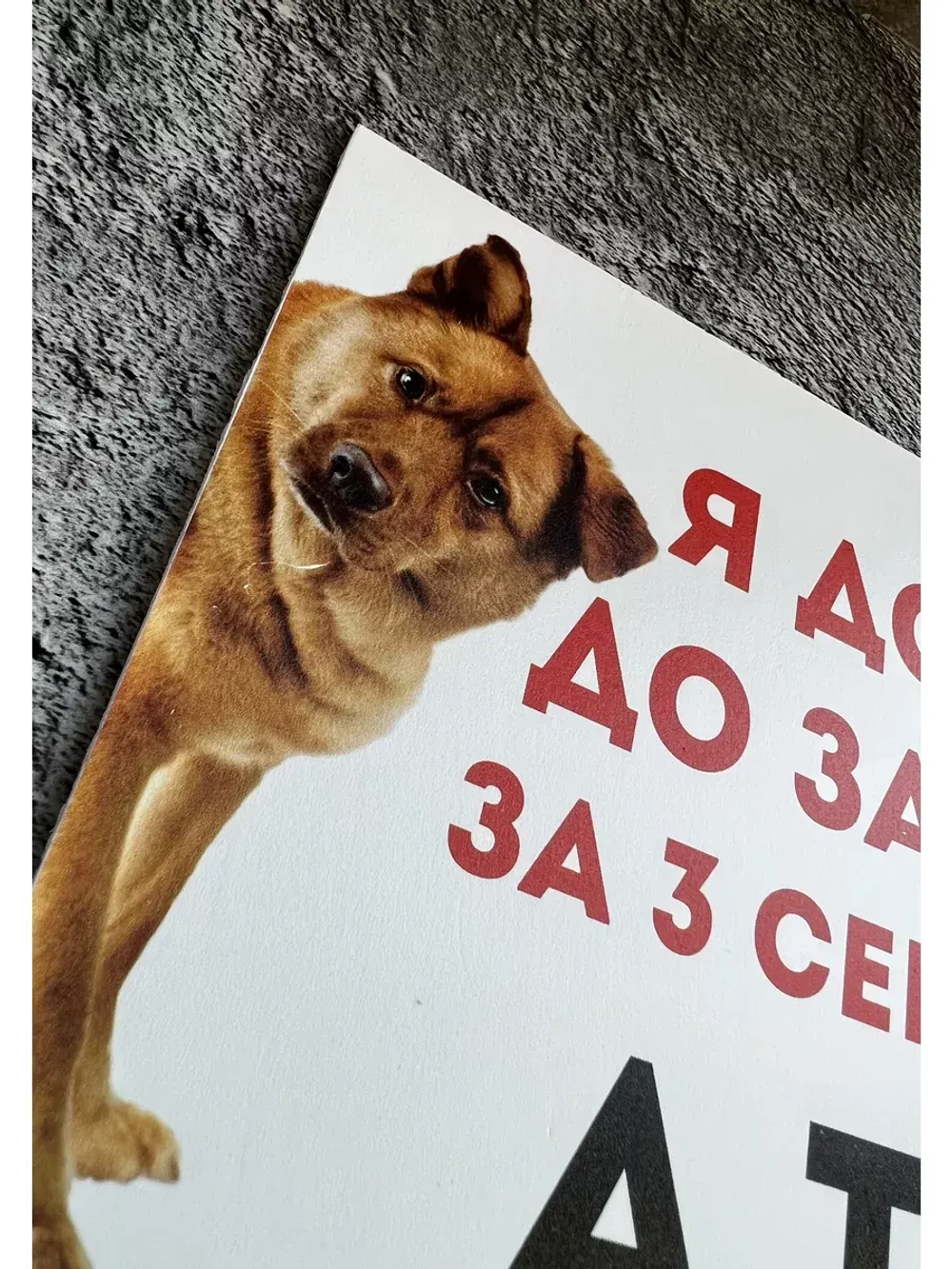 Табличка Злая собака