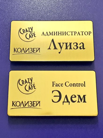 Бейдж пластик 70х40мм
