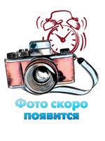 Жетон РОСГВАРДИЯ