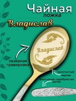 Ложка чайная Владислав